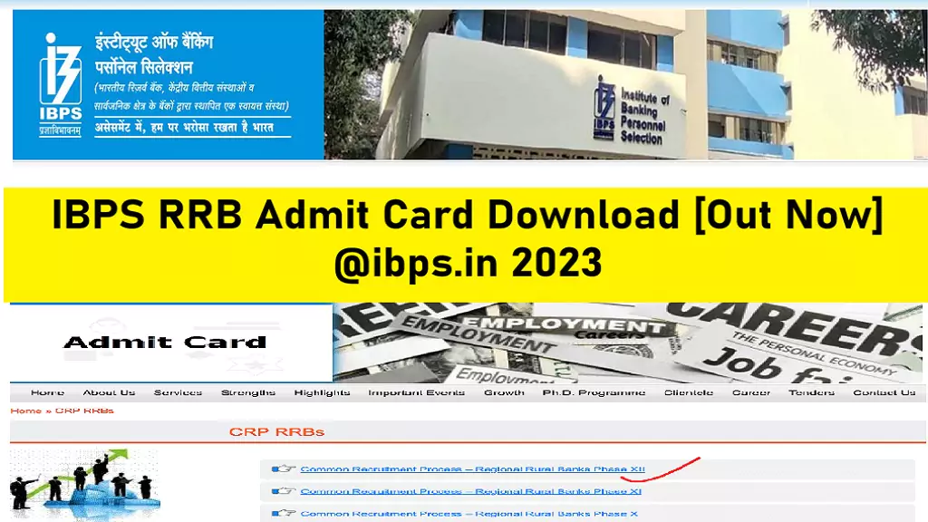 IBPS RRB Admit Card Download