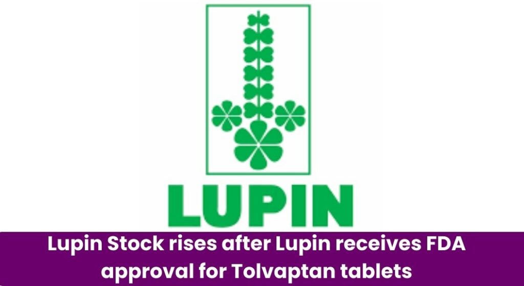 Lupin Stock